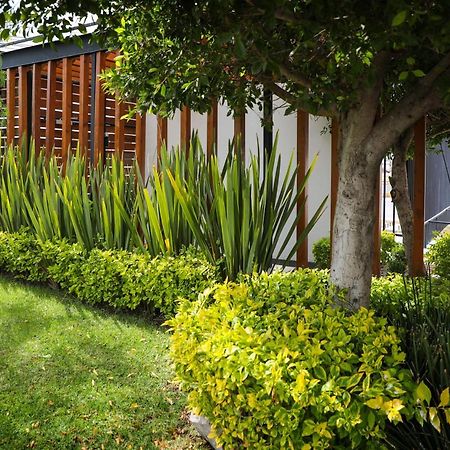 Zimmer Suites Aguascalientes Eksteriør billede